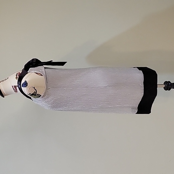 ENFOCUS STUDIO silver and black sleeveless dress.  Ties in back. Size is 4. - Picture 3 of 10